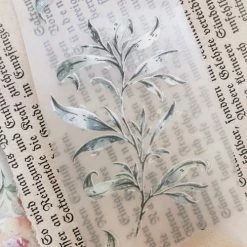 Meow Illustration - Washi Tape - Greenish Herbal Tea (PET)