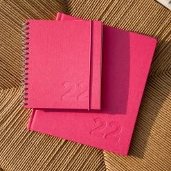 Bookbinders Design - 2022 Diary - Wire-O - Small - Pink