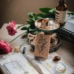 Meow Illustration - Stamp - April