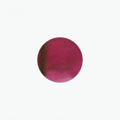 P.W. Akkerman - Fountain Pen Ink - 17 Staten-Generaal Rood