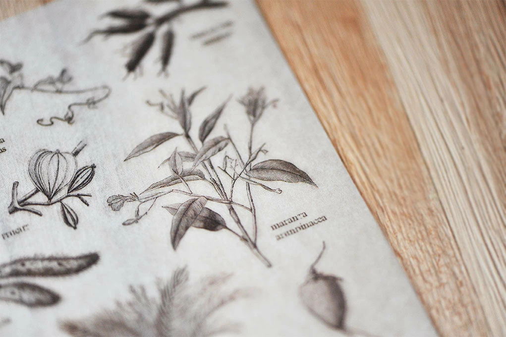 Hot Sale 𧨠MU Lifestyle - Planner Sticker - Print On - #029 Planner Stickers β 5 MU Lifestyle - Planner Sticker - Print On - #029 Planner Stickers