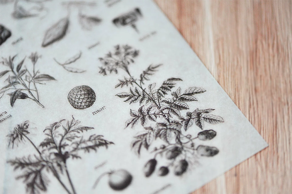 Hot Sale 𧨠MU Lifestyle - Planner Sticker - Print On - #029 Planner Stickers β 4 MU Lifestyle - Planner Sticker - Print On - #029 Planner Stickers