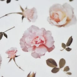 Best Pirce π Planner Stickers MU Lifestyle - Planner Sticker - Print On - #034 π₯° 7 Planner Stickers MU Lifestyle - Planner Sticker - Print On - #034