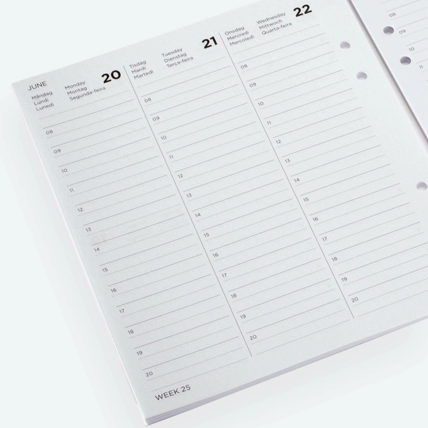 Best reviews of π₯ Bookbinders Design - 2022 Diary - Binder Insert - Regular π 4 Bookbinders Design - 2022 Diary - Binder Insert - Regular