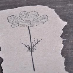 Stempel Jazz - Stamp - Cosmos Plant