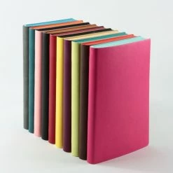 Diaries Daycraft - 2022 Diary - Signature - A5 - Pink