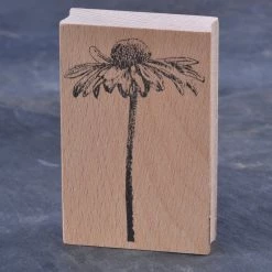 Stempel Jazz - Stamp - Echinacea