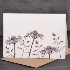Stempel Jazz - Card - Echinacea Cards