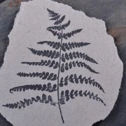 Planner Stamps Stempel Jazz - Stamp - Fern