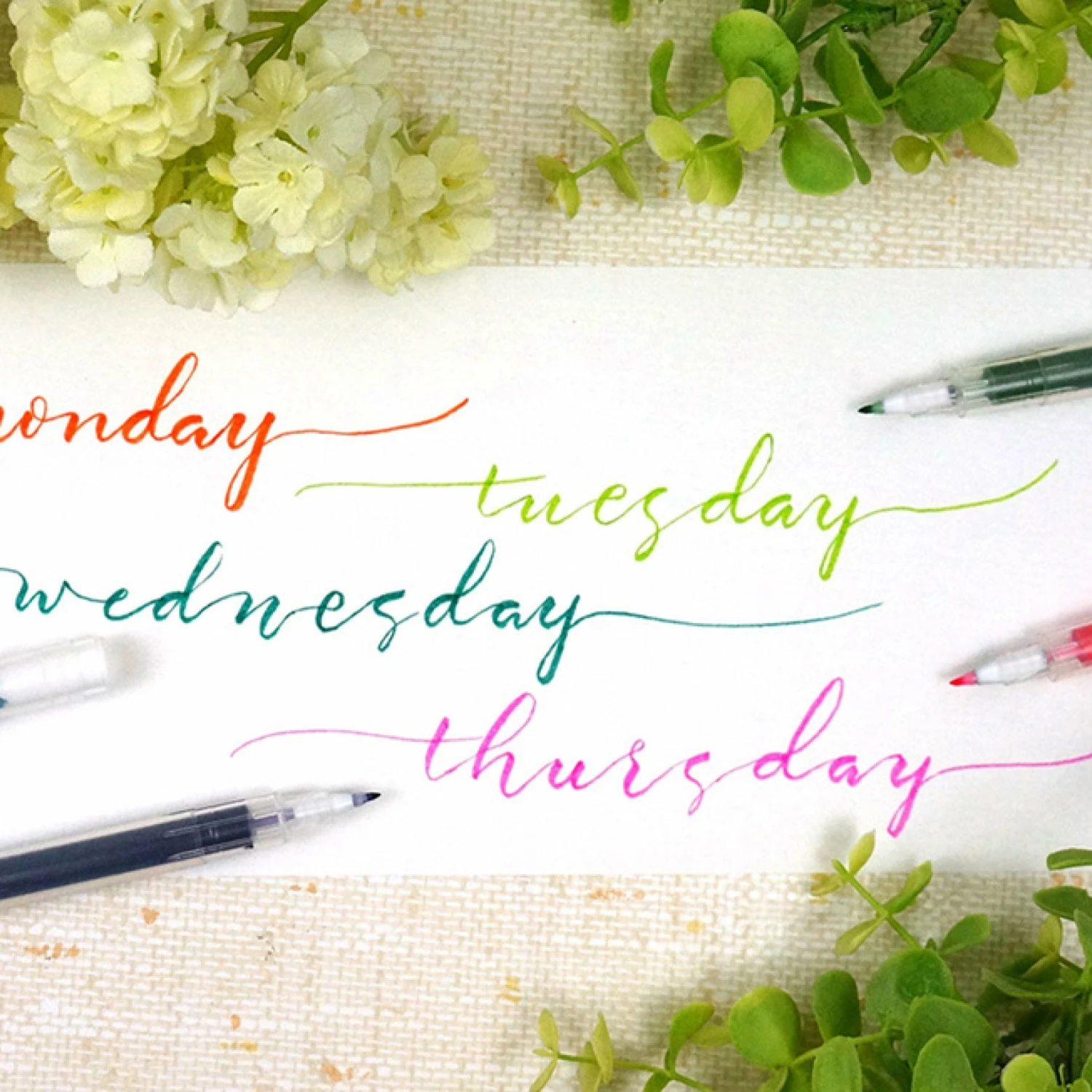 Best Pirce π Kuretake - Karappo-Pen (Empty Pen) - Brush Fine New Arrivals π₯ 6 Kuretake - Karappo-Pen (Empty Pen) - Brush Fine New Arrivals