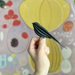 Bookbinders Design Shop 11 Animal Lovers Lovi - Ornament - Swallow - 15cm - Dark Blue