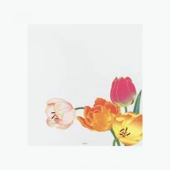 New Arrivals Midori - Letter Set - Kami - Tulips