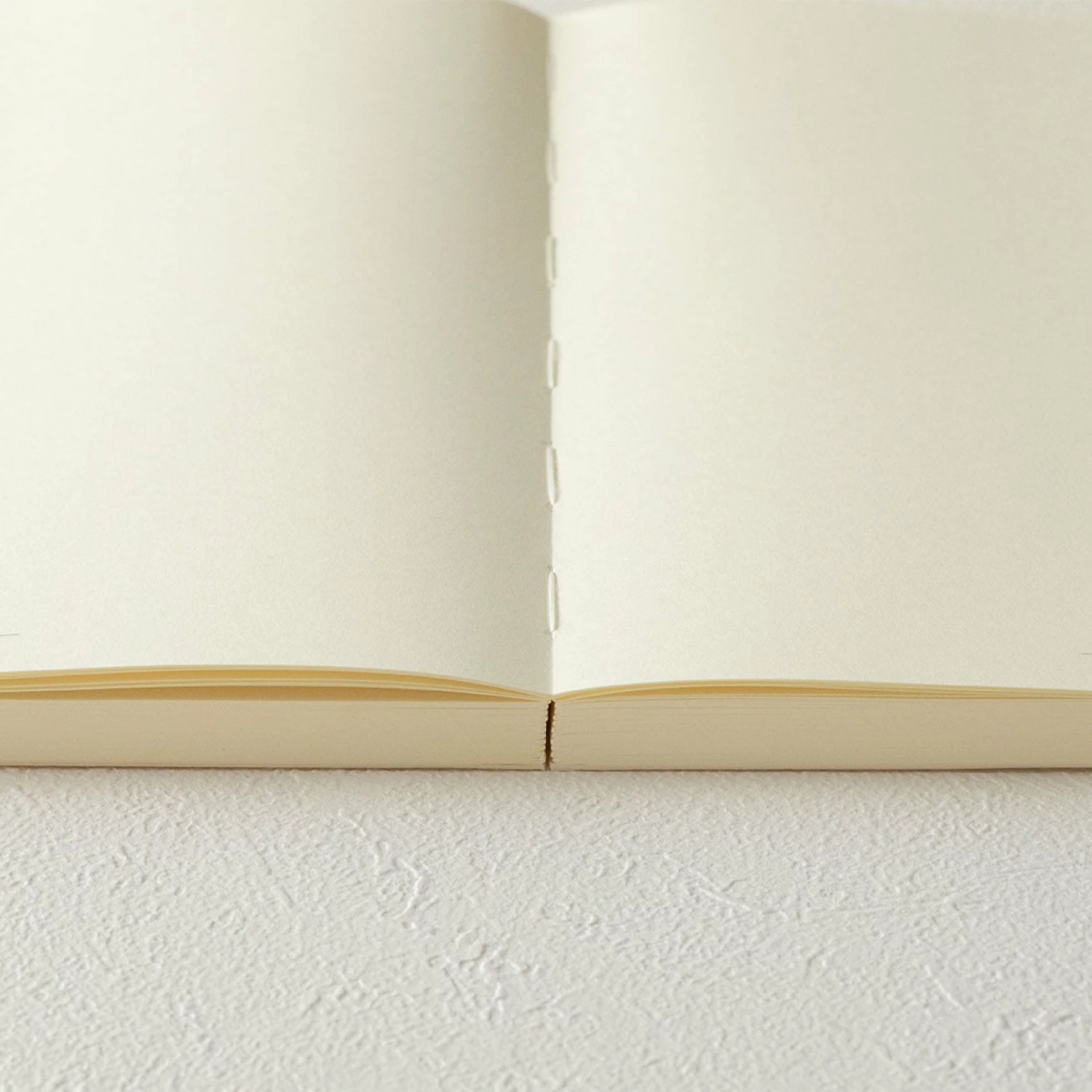 Best reviews of π Midori - Notebook - MD Paper - A5 - Codex 1 Day 1 Page - Blank π₯° 8 Midori - Notebook - MD Paper - A5 - Codex 1 Day 1 Page - Blank