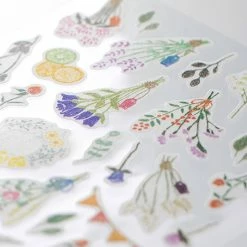 Outlet 👍 Midori JP Midori - Sticker Seal - Sticker Marché - Dried Flowers 🧨 8 Midori JP Midori - Sticker Seal - Sticker Marché - Dried Flowers