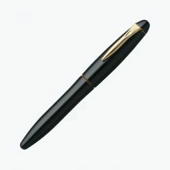 Platinum - Fountain Pen - Izumo - Biwatame #30 [Special Order] Fountain Pens