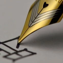 Platinum - Fountain Pen - Izumo - Raden Galaxy (Limited Edition)