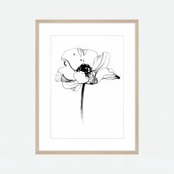 Toril Baekmark - Fine Art Prints - Black Flowers No.5 Gifts Under $100