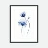 Gifts Under $100 Toril Baekmark - Fine Art Prints - Flower Poster No.68