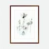 Toril Baekmark - Fine Art Prints - Flower Poster No.11