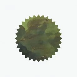 Fountain Pen Inks Robert Oster - Fountain Pen Ink - Signature - Crocodile Green