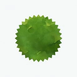 Fountain Pen Inks Robert Oster - Fountain Pen Ink - Signature - Forest Green