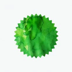 Robert Oster - Fountain Pen Ink - Signature - Green Green