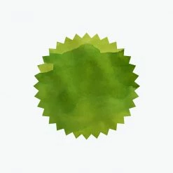 Robert Oster - Fountain Pen Ink - Signature - Jade