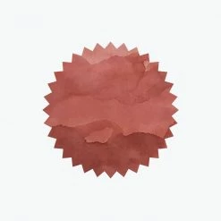 Fountain Pen Inks Robert Oster - Fountain Pen Ink - Signature - Plumb Nut