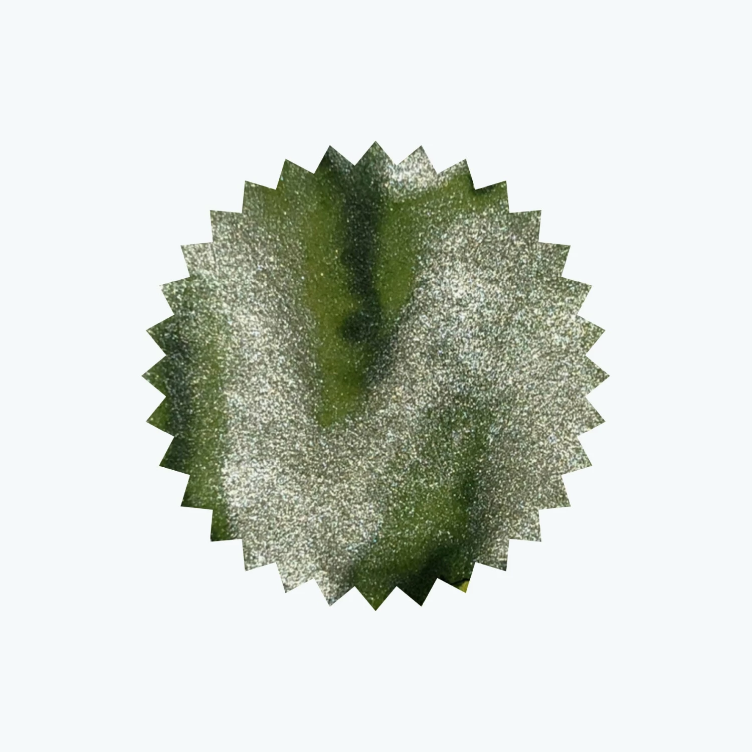 Brand new π Robert Oster - Fountain Pen Ink - Shake 'N' Shimmy - Fizzy Lime Fountain Pen Inks π― 4 Robert Oster - Fountain Pen Ink - Shake 'N' Shimmy - Fizzy Lime Fountain Pen Inks