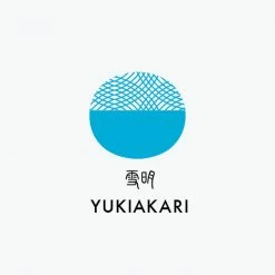 Fountain Pen Inks Sailor - Fountain Pen Ink - Shikiori Cartridges - Yuki Akari