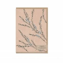 Typoflora - Card - Wax Flowers