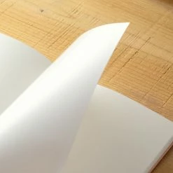 Traveler's Company - B-Sides & Rarities - Passport - Sticker Release Paper