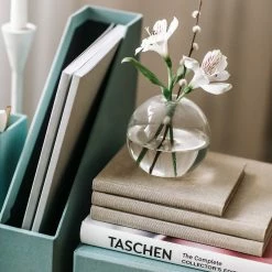 Best reviews of โญ Magazine Files Bookbinders Design - Magazine File - A4 - Sandbrown ๐ 9 Magazine Files Bookbinders Design - Magazine File - A4 - Sandbrown