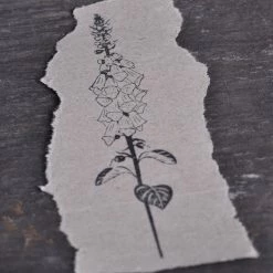 Stempel Jazz - Stamp - Anemone