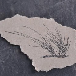 Stempel Jazz - Stamp - Beach Grass