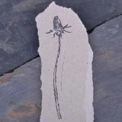 Stempel Jazz - Stamp - Dandelion Bud