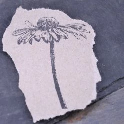 Stempel Jazz - Stamp - Echinacea