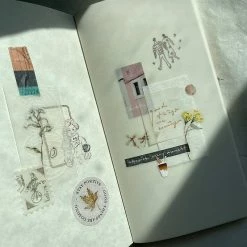 Outlet β Pion - Washi Tape - Embossing (PET) π 10 Pion - Washi Tape - Embossing (PET)