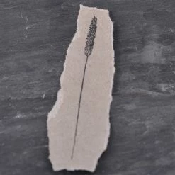 Planner Stamps Stempel Jazz - Stamp - Meadow Foxtail