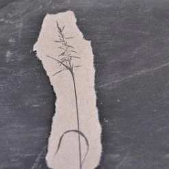 Stempel Jazz - Stamp - Grass