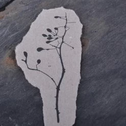 Planner Stamps Stempel Jazz - Stamp - Rosehip Branch