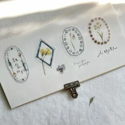 Pion - Washi Tape - Plate