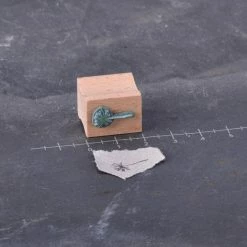 Stempel Jazz - Stamp - Puff Flower Seeds