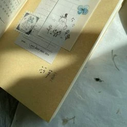 Pion - Planner Sticker - Writing New Arrivals